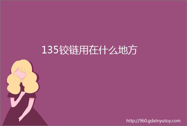 135铰链用在什么地方