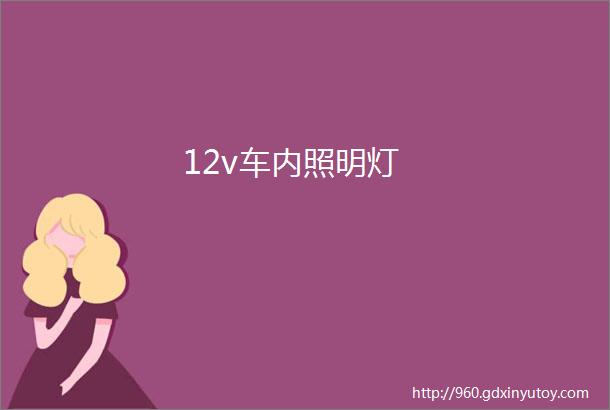 12v车内照明灯