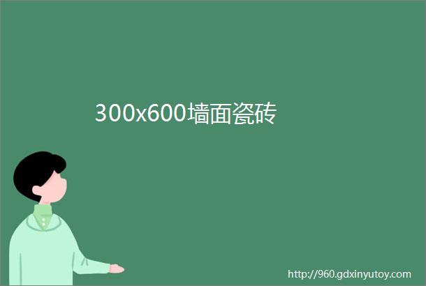 300x600墙面瓷砖