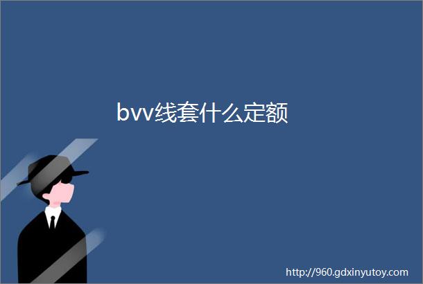 bvv线套什么定额