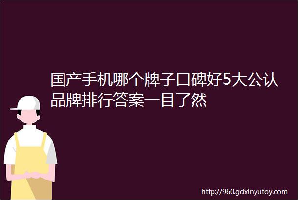 国产手机哪个牌子口碑好5大公认品牌排行答案一目了然