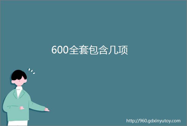 600全套包含几项